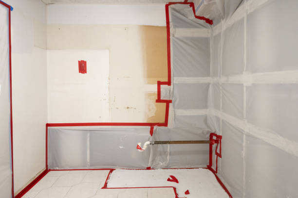 Reliable Cabana Colony, FL Mold Removal Solutions